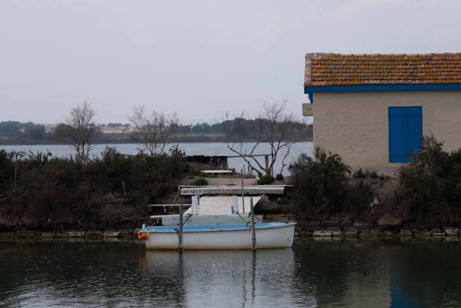 Understanding Specialist Houseboat Cover