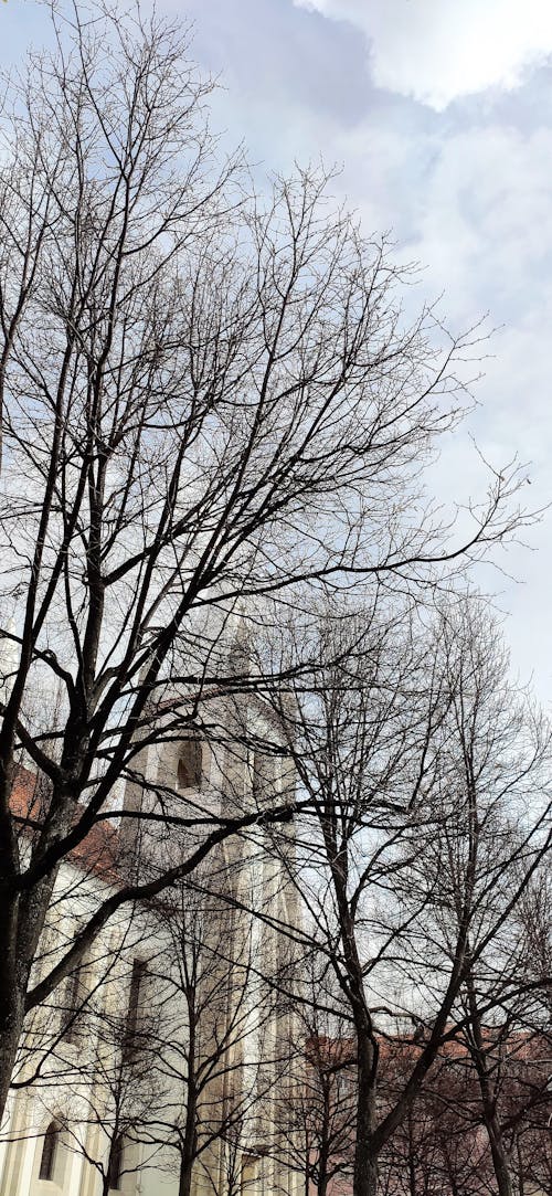 Fotos de stock gratuitas de basílica, invierno