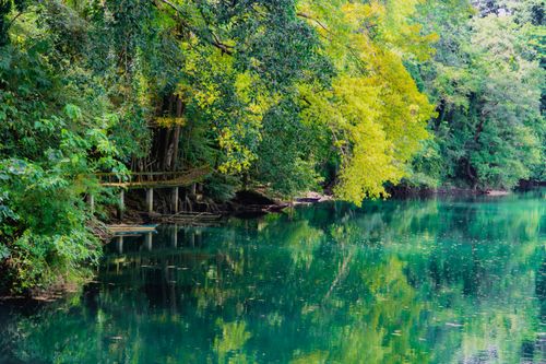 Free Peaceful lake in a dense forest with a wooden footbridge reflecting in emerald green waters. Stock Photo