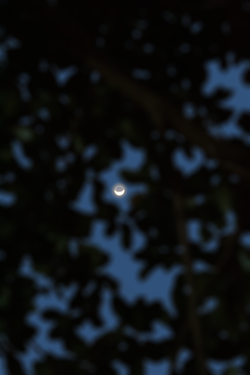Free Ramadan Moon Stock Photo