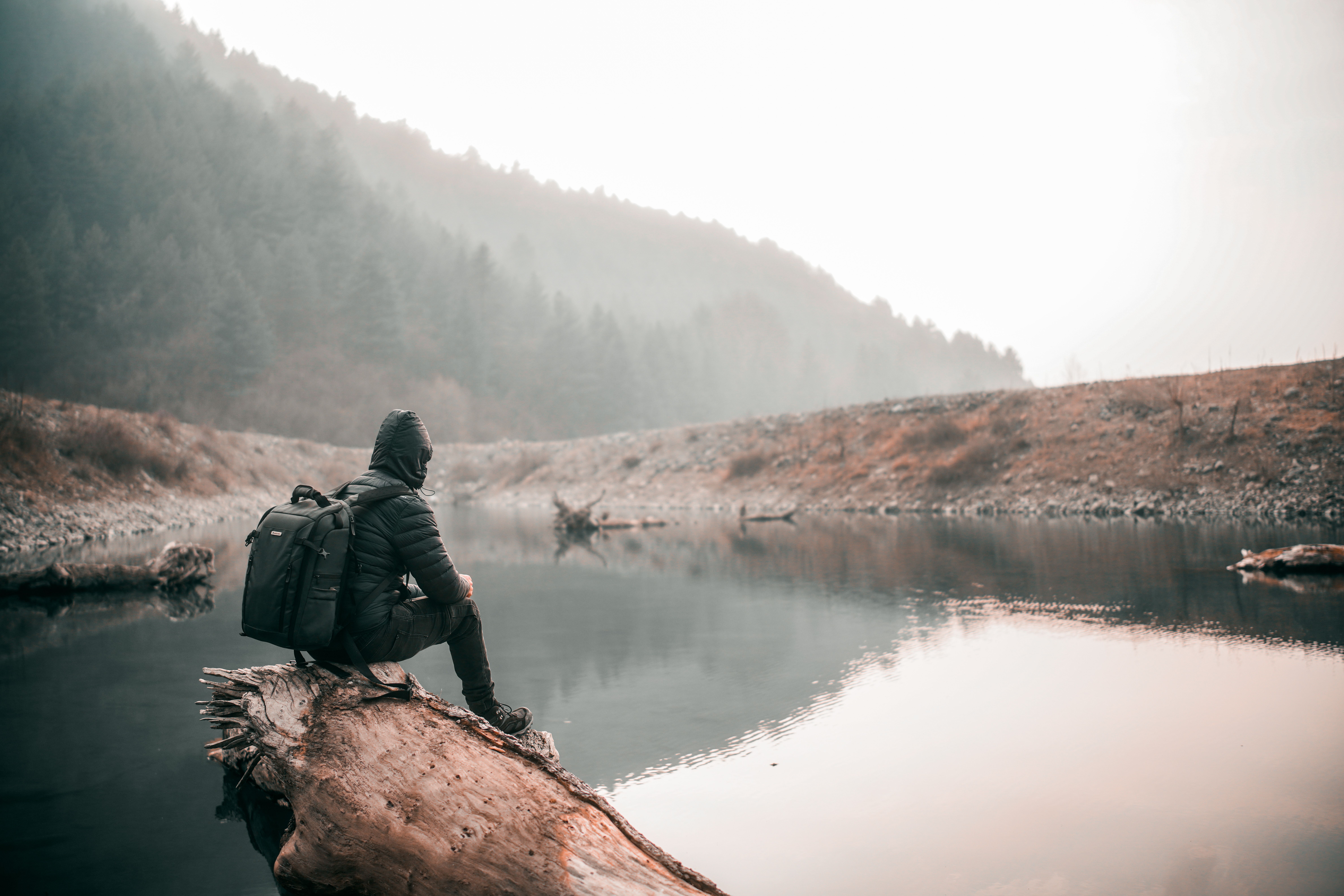 Forest Bathing for Anxiety: Nature's Most Powerful Mental Reset (2026)