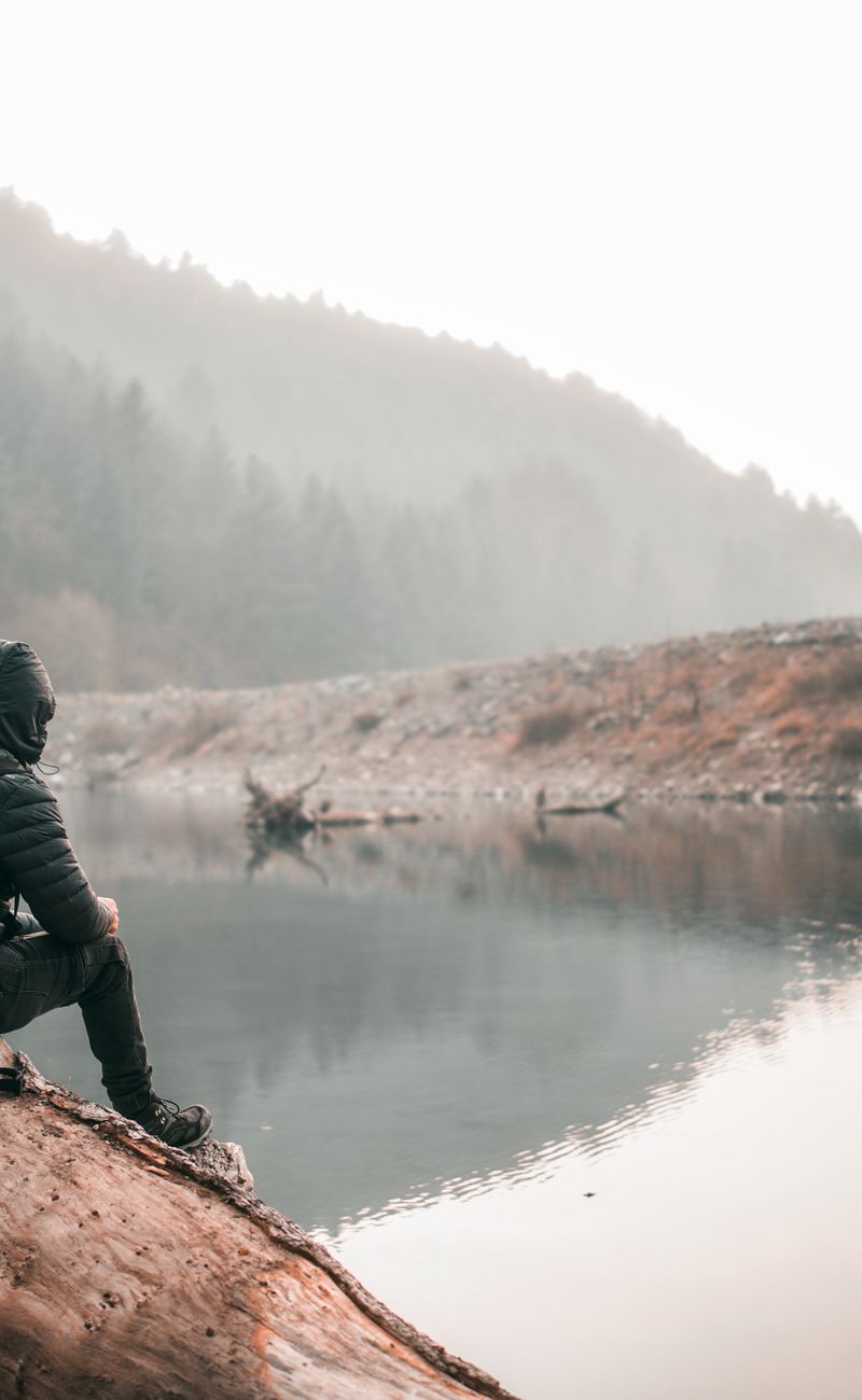 Forest Bathing for Anxiety: Nature's Most Powerful Mental Reset (2026)