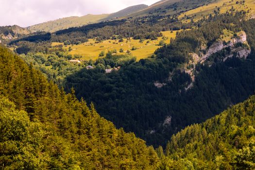 Montagne et verdure