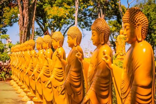 Kostenloses Stock Foto zu bäume, buddha, buddhist