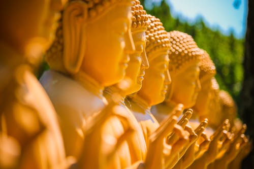 Photo of a Row of Buddha Sculptures
