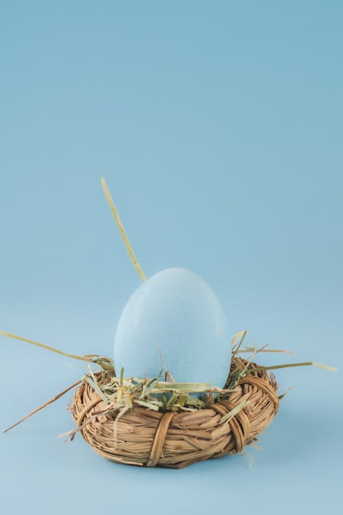 Easter Eggs on Straw Free Stock Photo