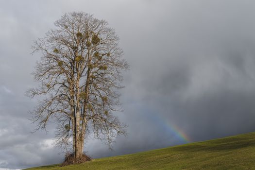 Free stock photo of alone, countryside, fall
