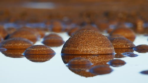 Free Close up of Chocolate Cakes Stock Photo