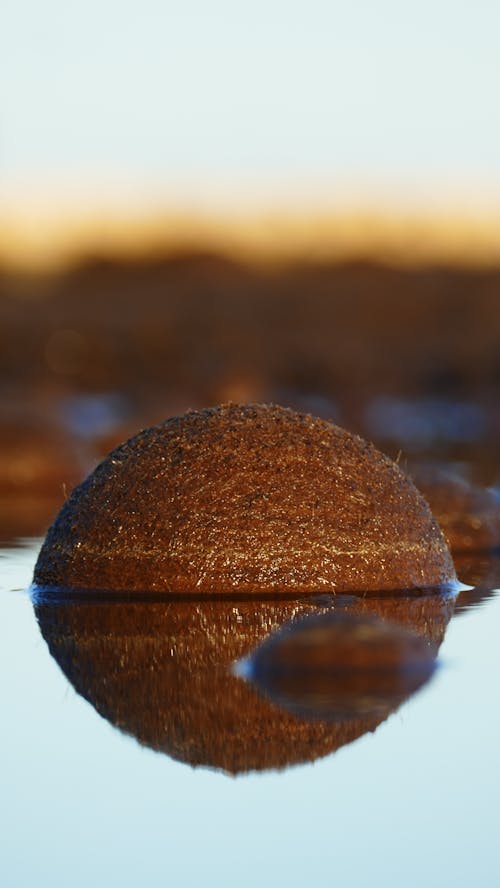 A Ball of Soil in the Water 