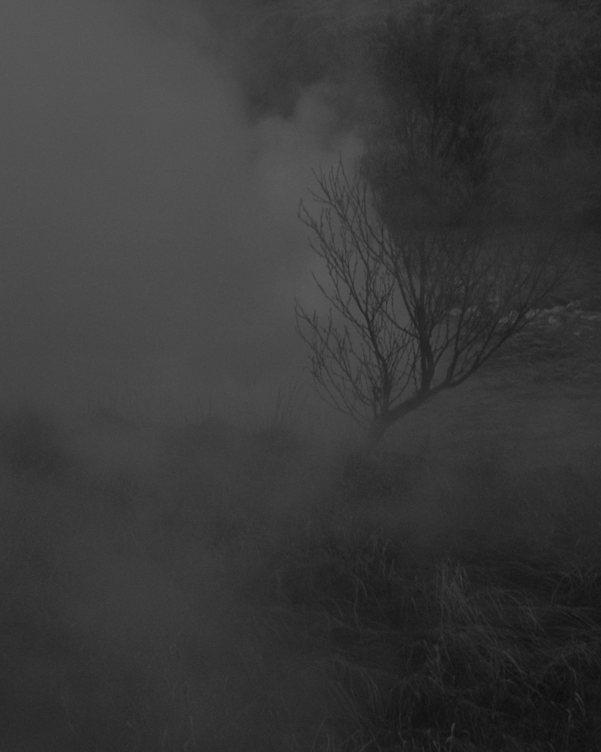 Stable Diffusion screenshot 1