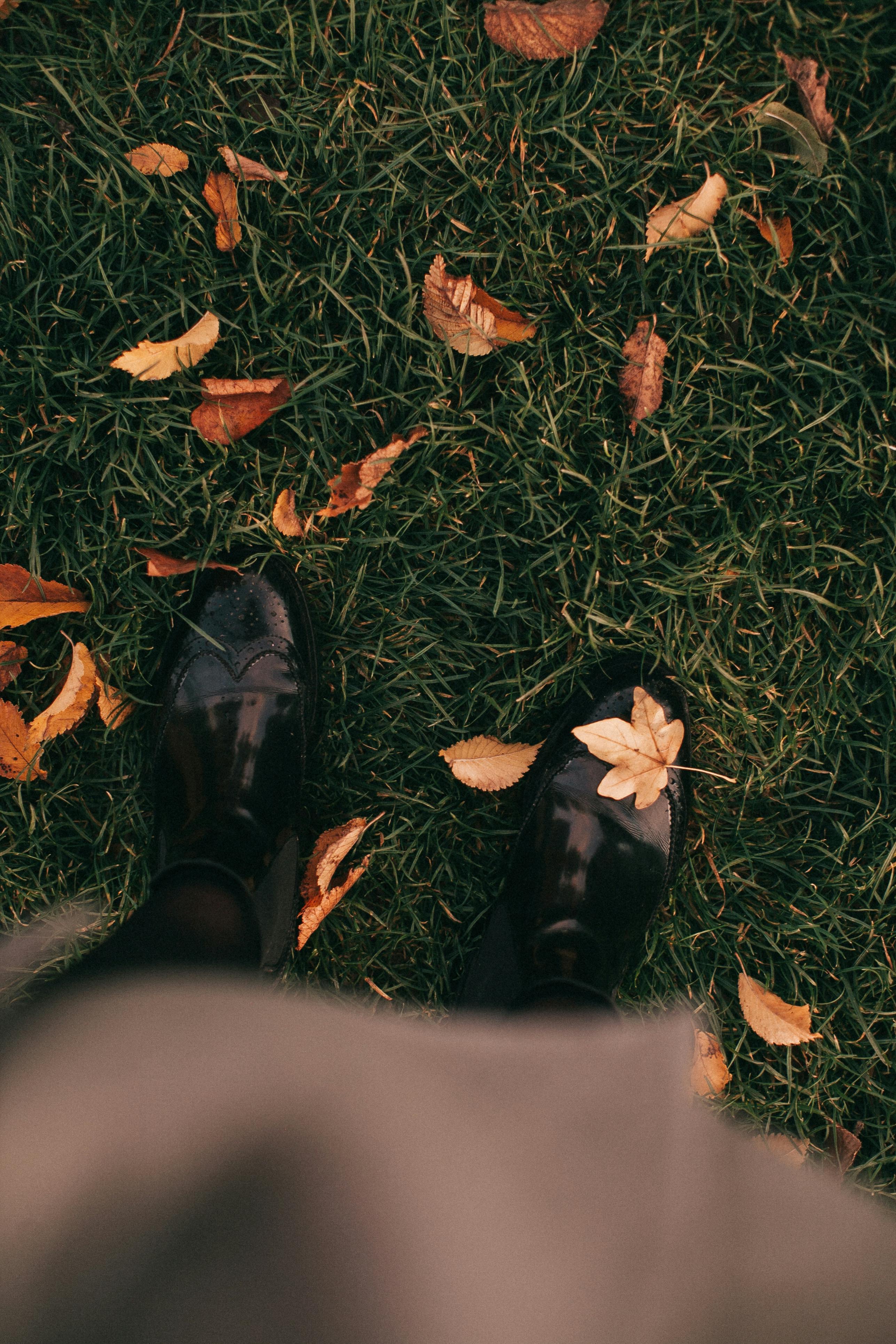 person standing on grass