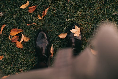 Paire De Bottes En Cuir Noir