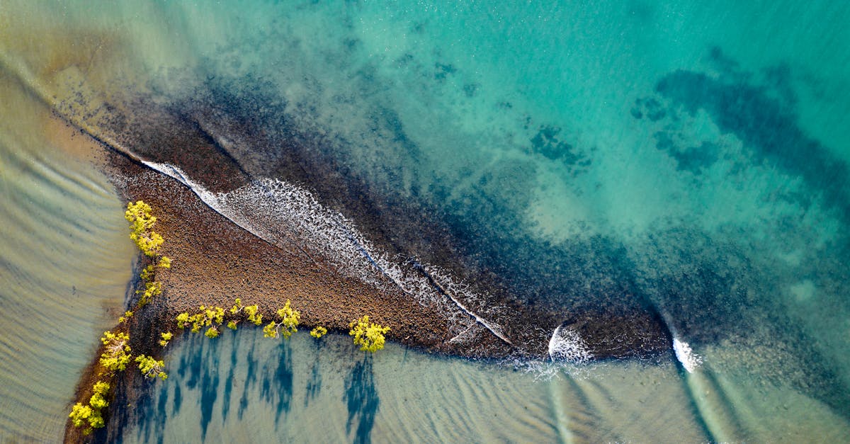 Port Douglas