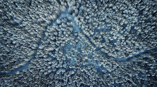 俄勒冈州瀑布锁的白雪覆盖森林，鸟瞰图令人惊叹