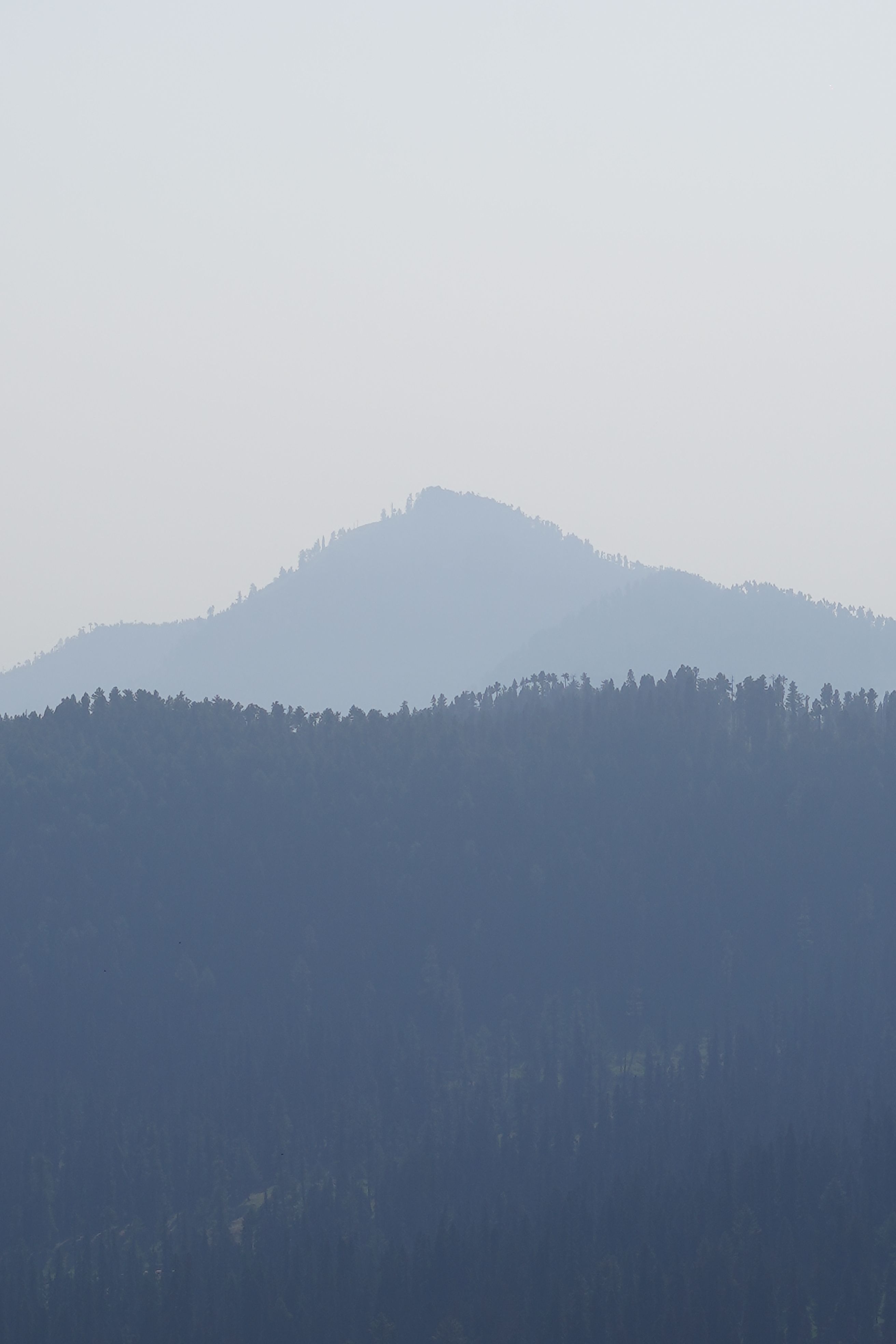 Mountains and Forest in Fog · Free Stock Photo