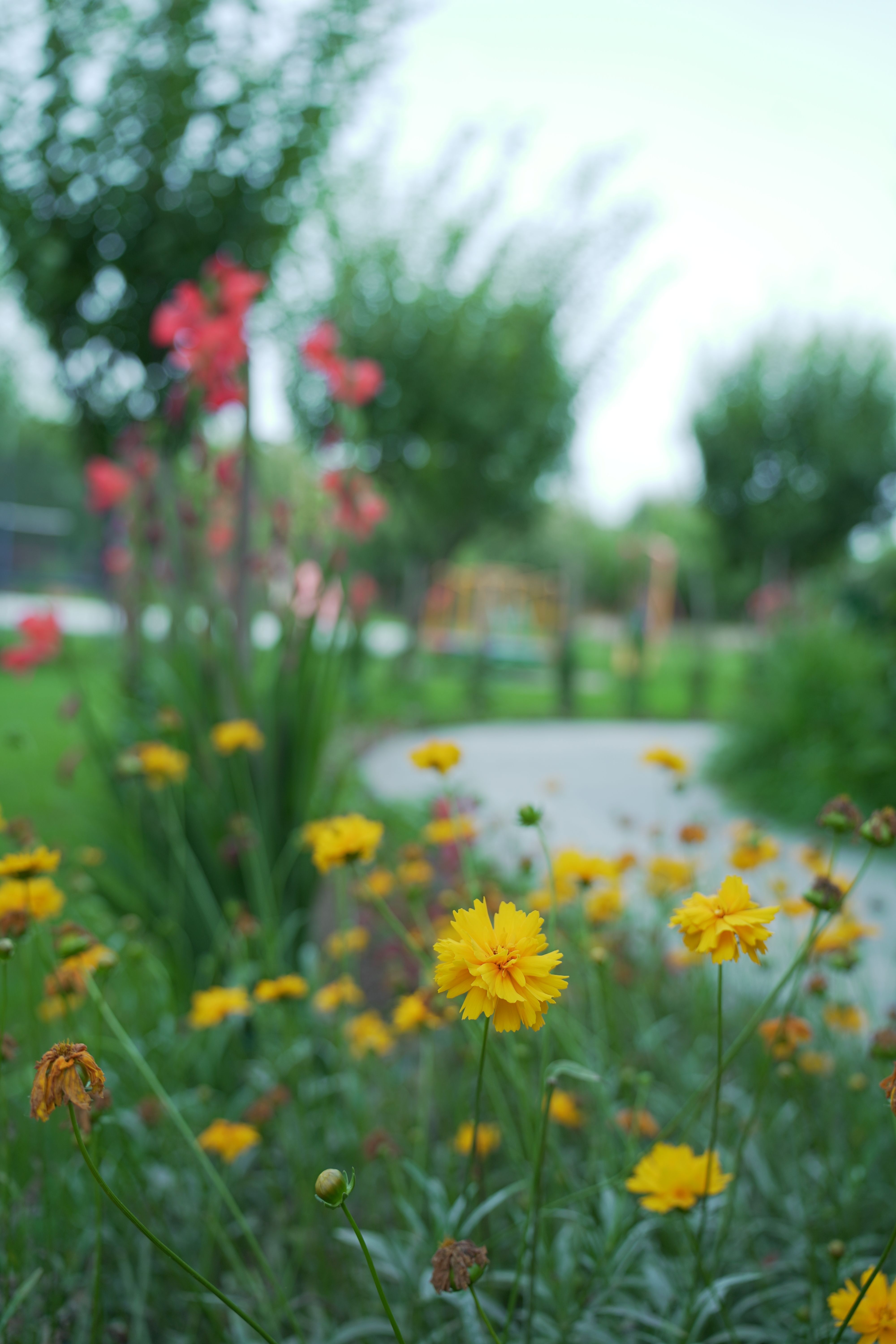 Picture of Urban Relaxation Photos, Download The BEST Free Urban Relaxation Stock ...