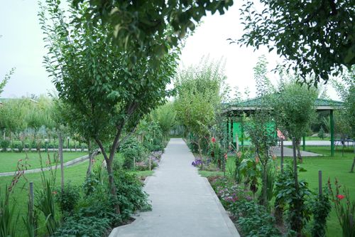 Free A serene garden path lined with trees and flowers, perfect for relaxation. Stock Photo
