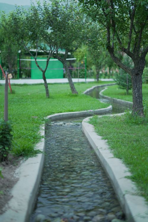 Free A peaceful rural stream flows through a verdant landscape lined with trees. Stock Photo