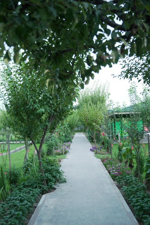 Free Explore a peaceful garden path surrounded by vibrant greenery and colorful flowers in a tranquil outdoor setting. Stock Photo