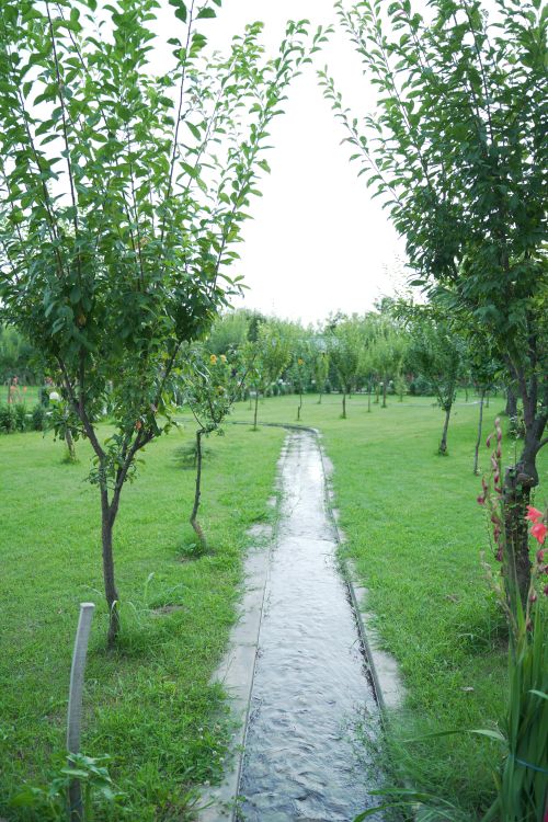 Free A tranquil orchard pathway with a narrow stream and lush greenery, capturing nature's serenity. Stock Photo