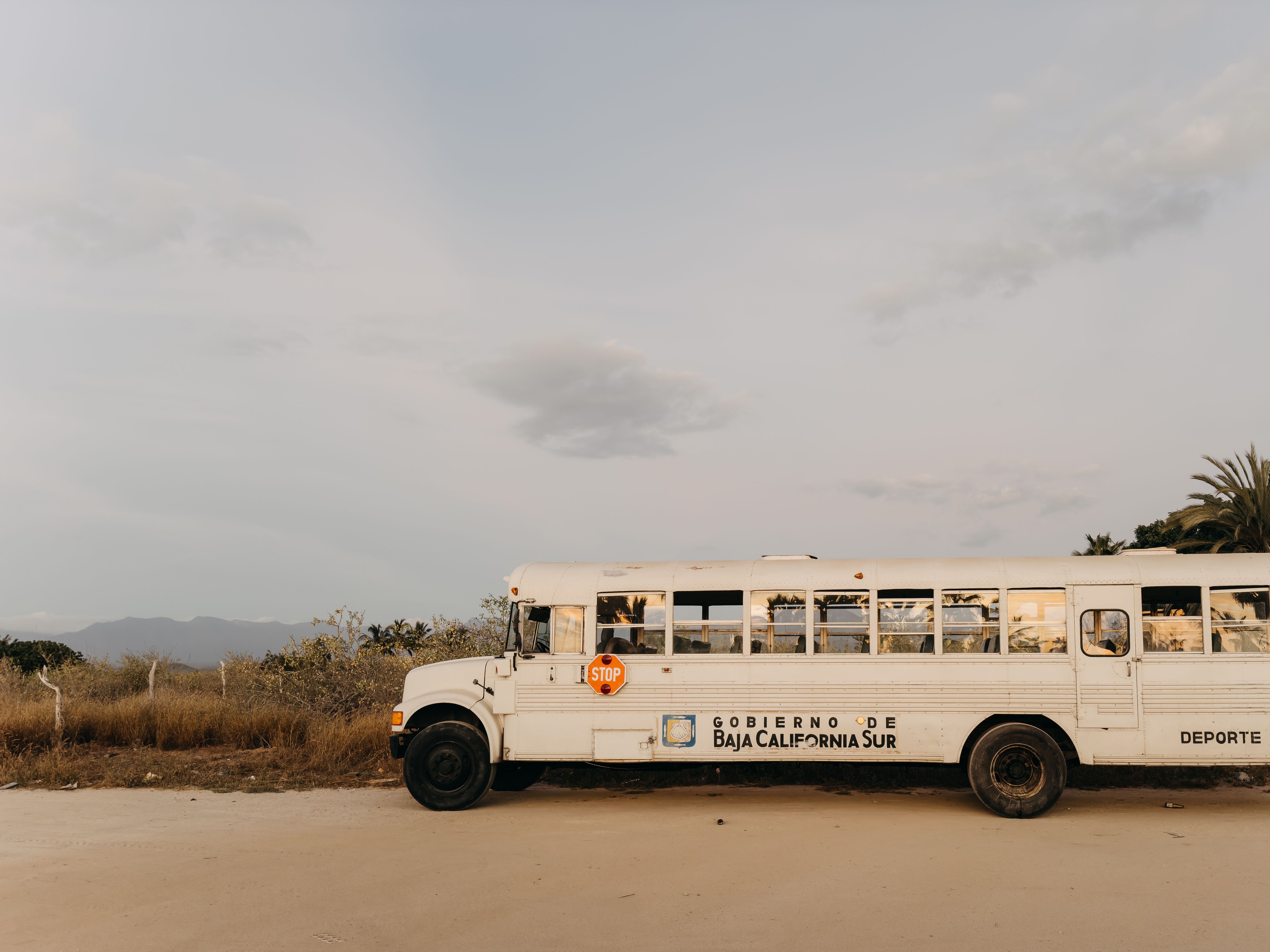 White bus parked in the desert landscape of Baja California Sur, Mexico, under a clear sky