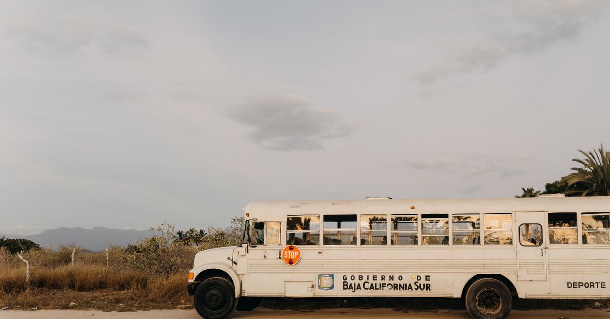 A white school bus parked in the desert landscape of Baja California Sur, Mexico under a clear sky.