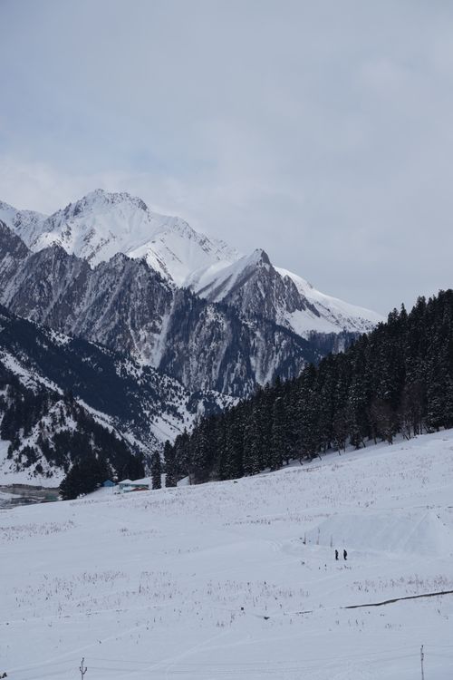 Free Breathtaking snowy mountain landscape with pine trees under a cloudy winter sky. Stock Photo