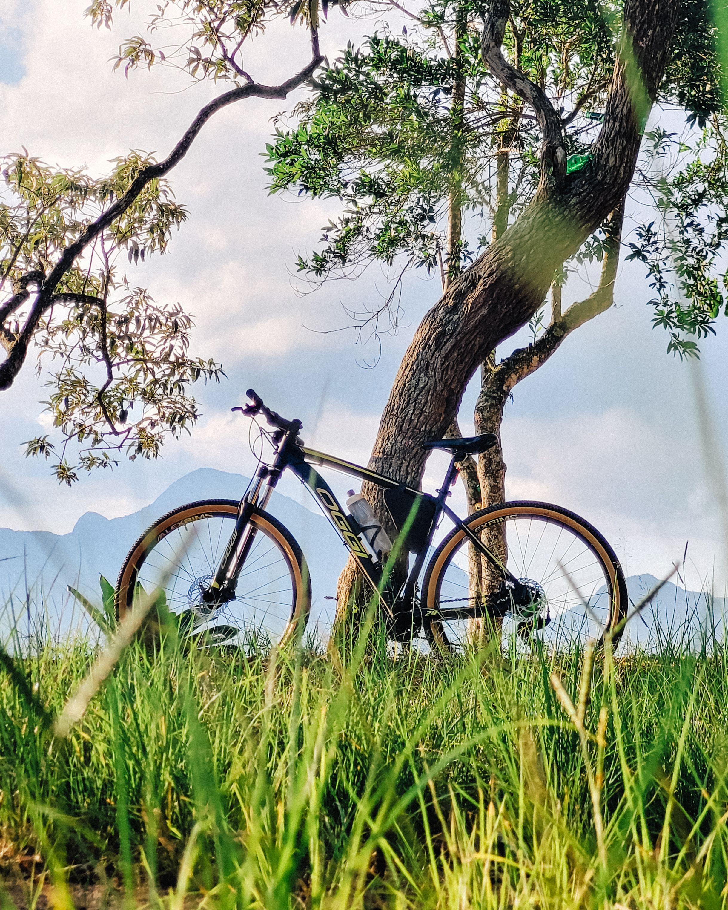 A mountain bike leaning against a tree amidst lush grass, with peaceful clouds and distant mountains.