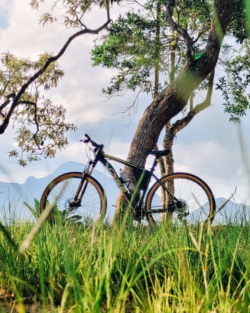 Free A mountain bike leaning against a tree amidst lush grass, with peaceful clouds and distant mountains. Stock Photo