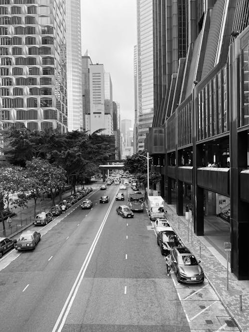 High Angle View of a City Street 