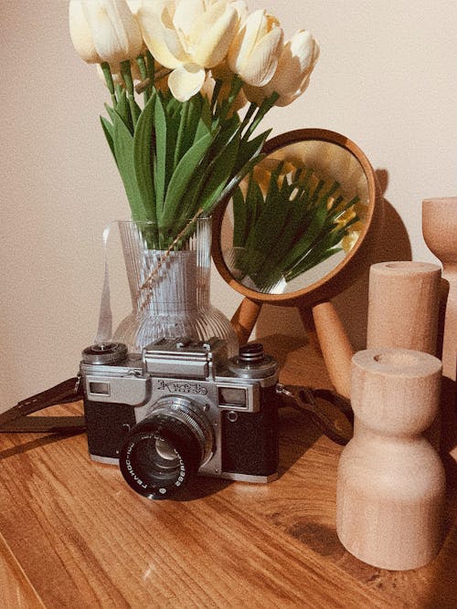 Gratis stockfoto met apparaat, bloemen, camera