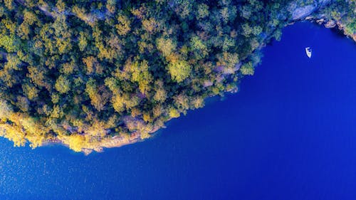 Imagine de stoc gratuită din albastru, apă, arbori
