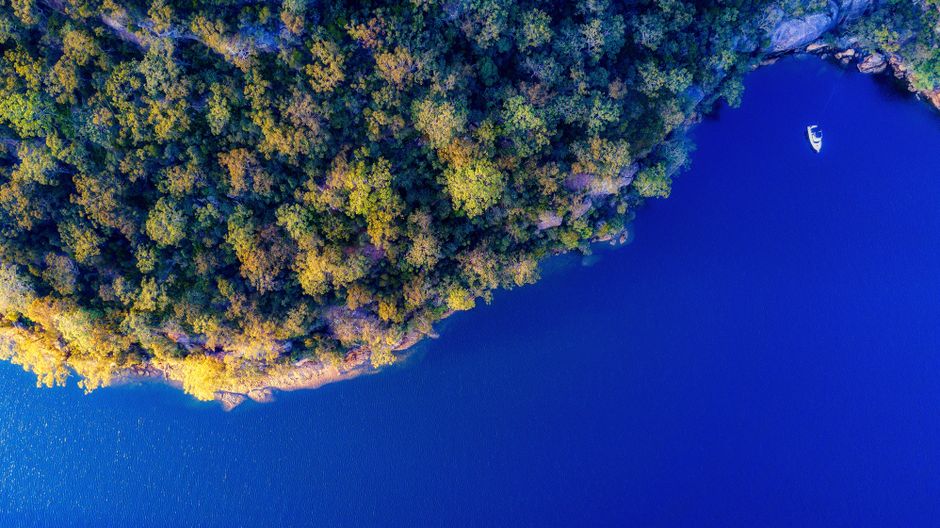 Breathtaking aerial view showcasing lush forest meeting vibrant blue ocean waters.