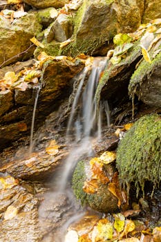 A serene waterfall flowing over moss-covered rocks surrounded by autumn foliage.