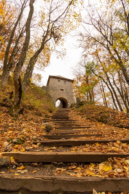 Trencsén vártúra: Szlovák lovagkor Trencsén vártúra: Szlovák lovagkor