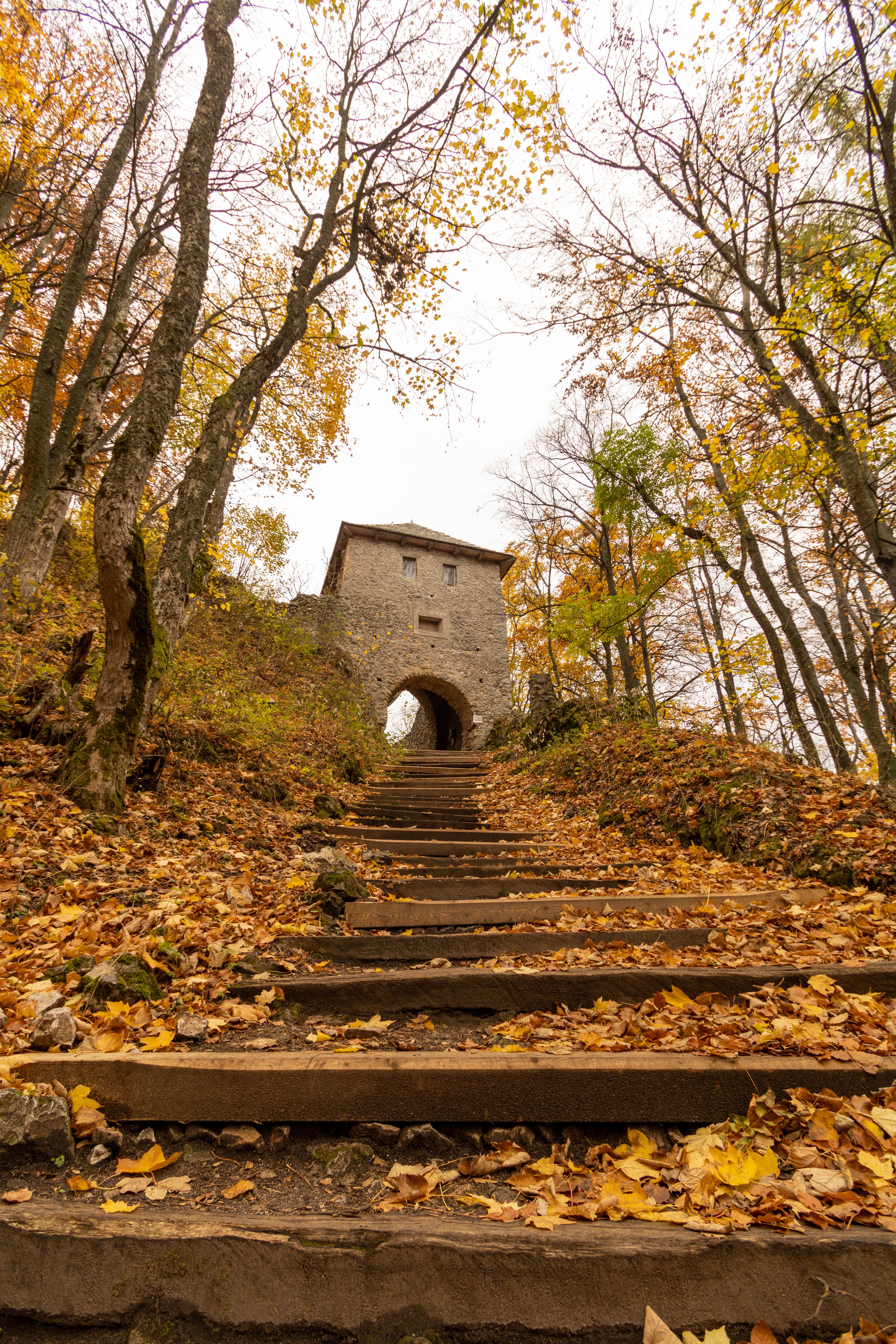 Stairs Leading to Medieval Muran Castle in Slovakia · Free Stock Photo