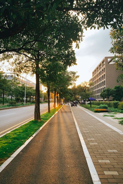 Free Beautiful urban street view in Shenzhen with trees and buildings at sunset. Stock Photo