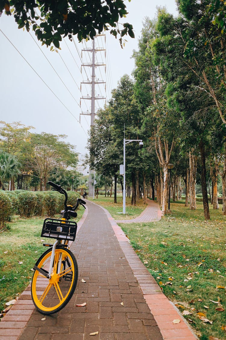 A Bicycle On A Lane In A Park 