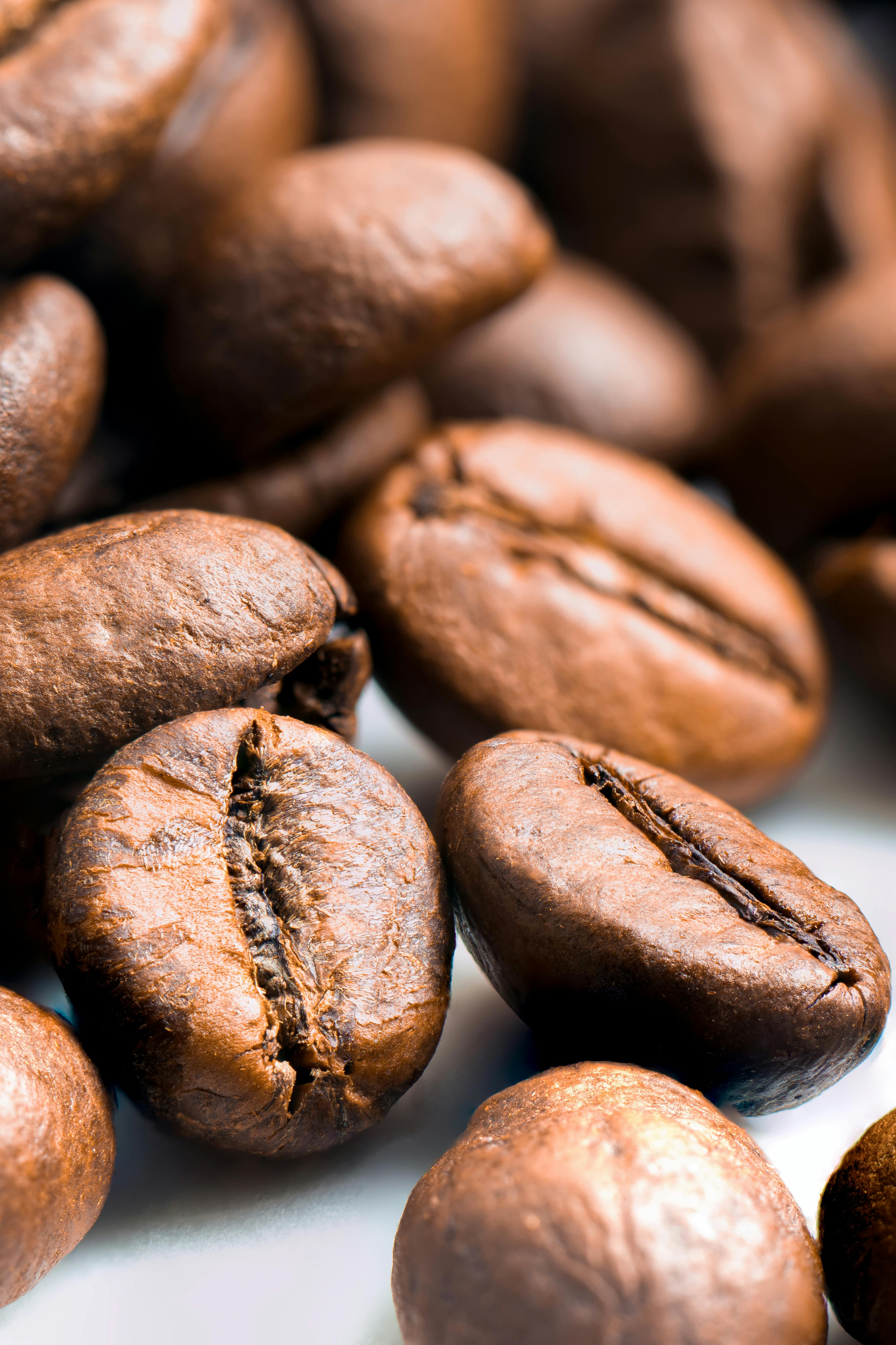 Close-up of roasted coffee beans showcasing texture and freshness.