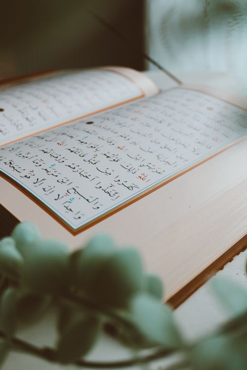 Free An open Quran on a table with floral decor, providing a serene and spiritual atmosphere. Stock Photo