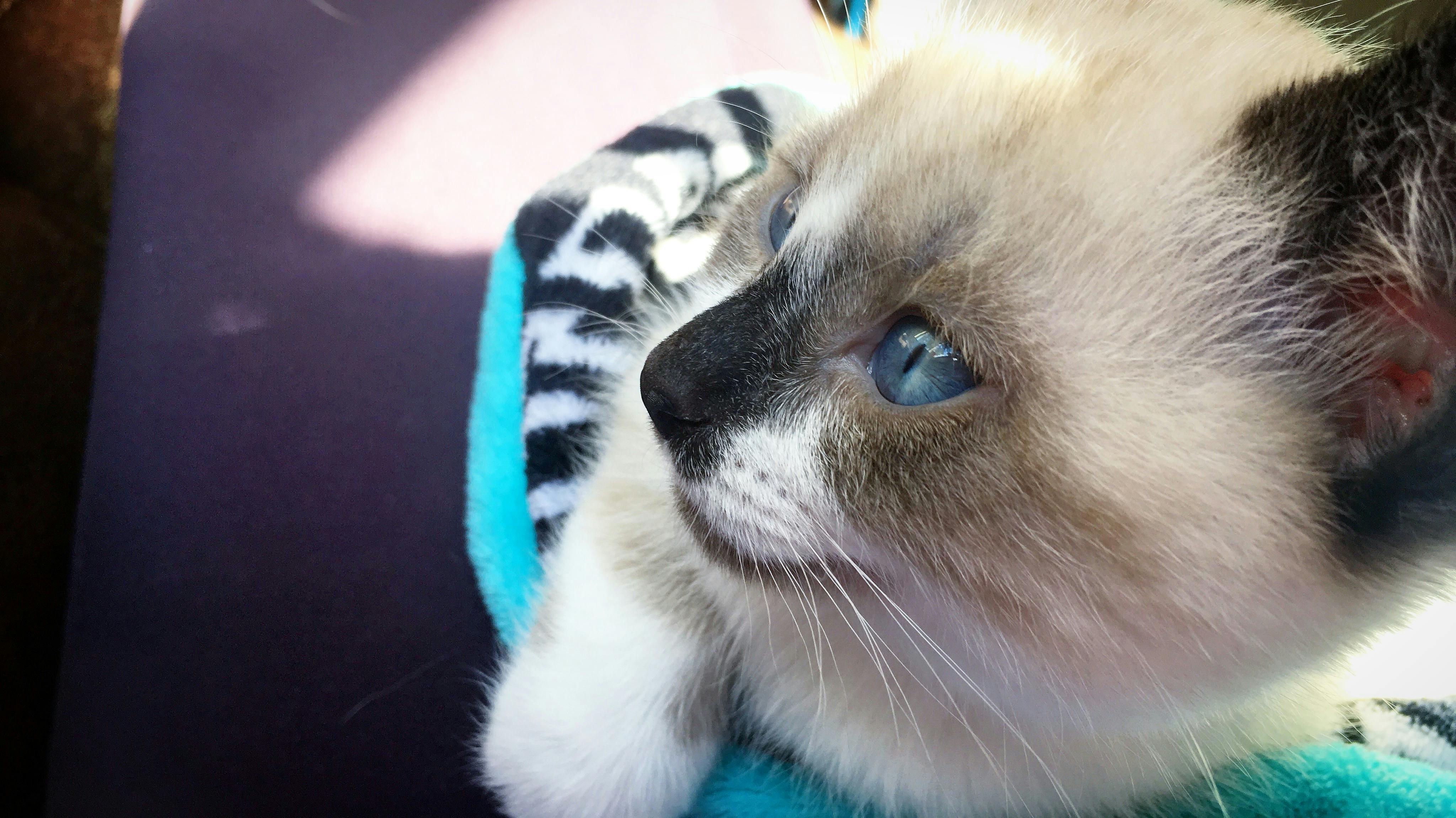 Kayla Renee - Photography