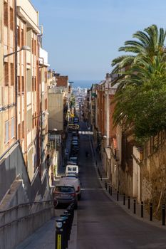 Discover the vibrant streets of Barcelona with a stunning view of the coast, lined by classic architecture and lush palm trees.