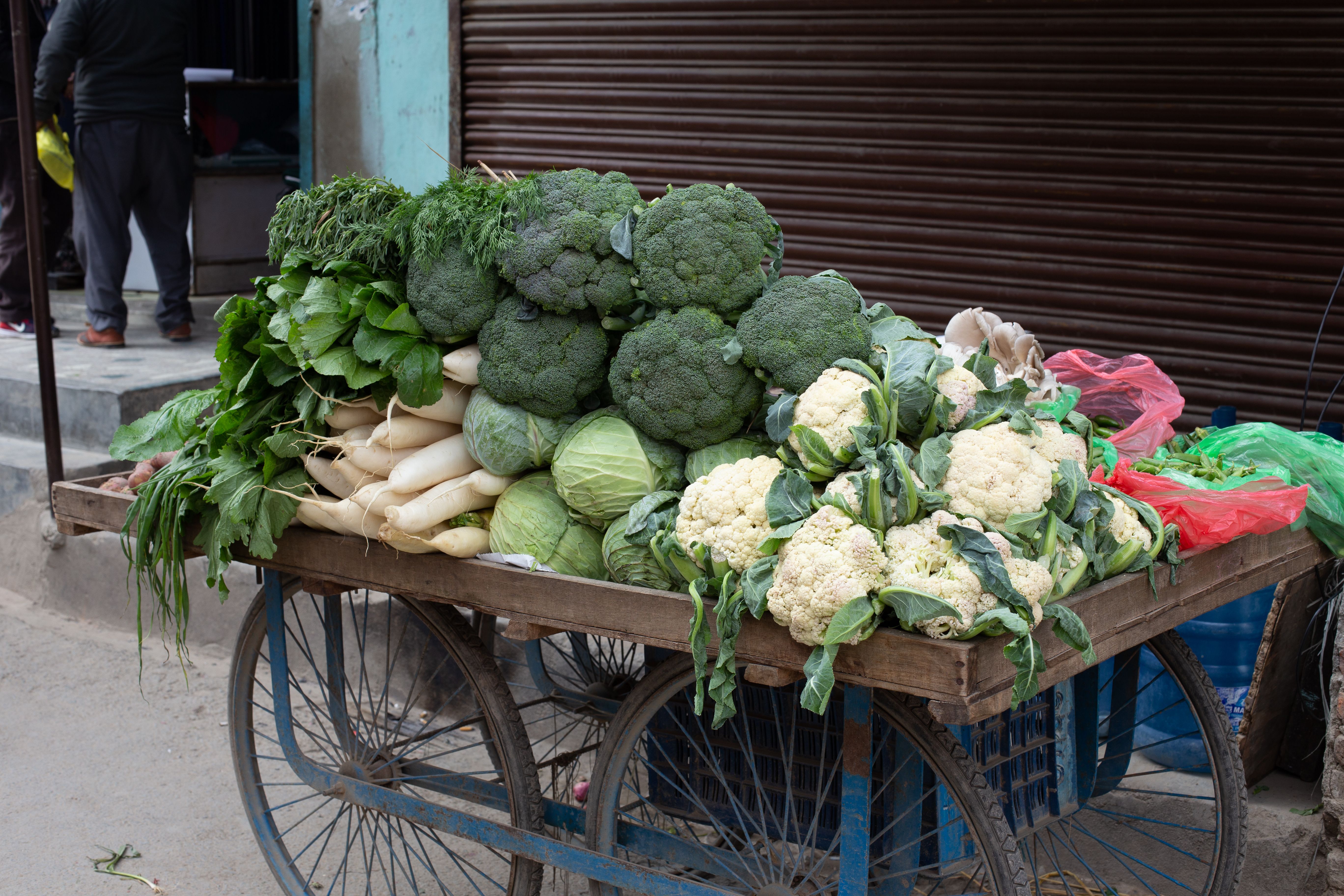 Variedad de vegetales frescos y coloridos listos para cocinar.