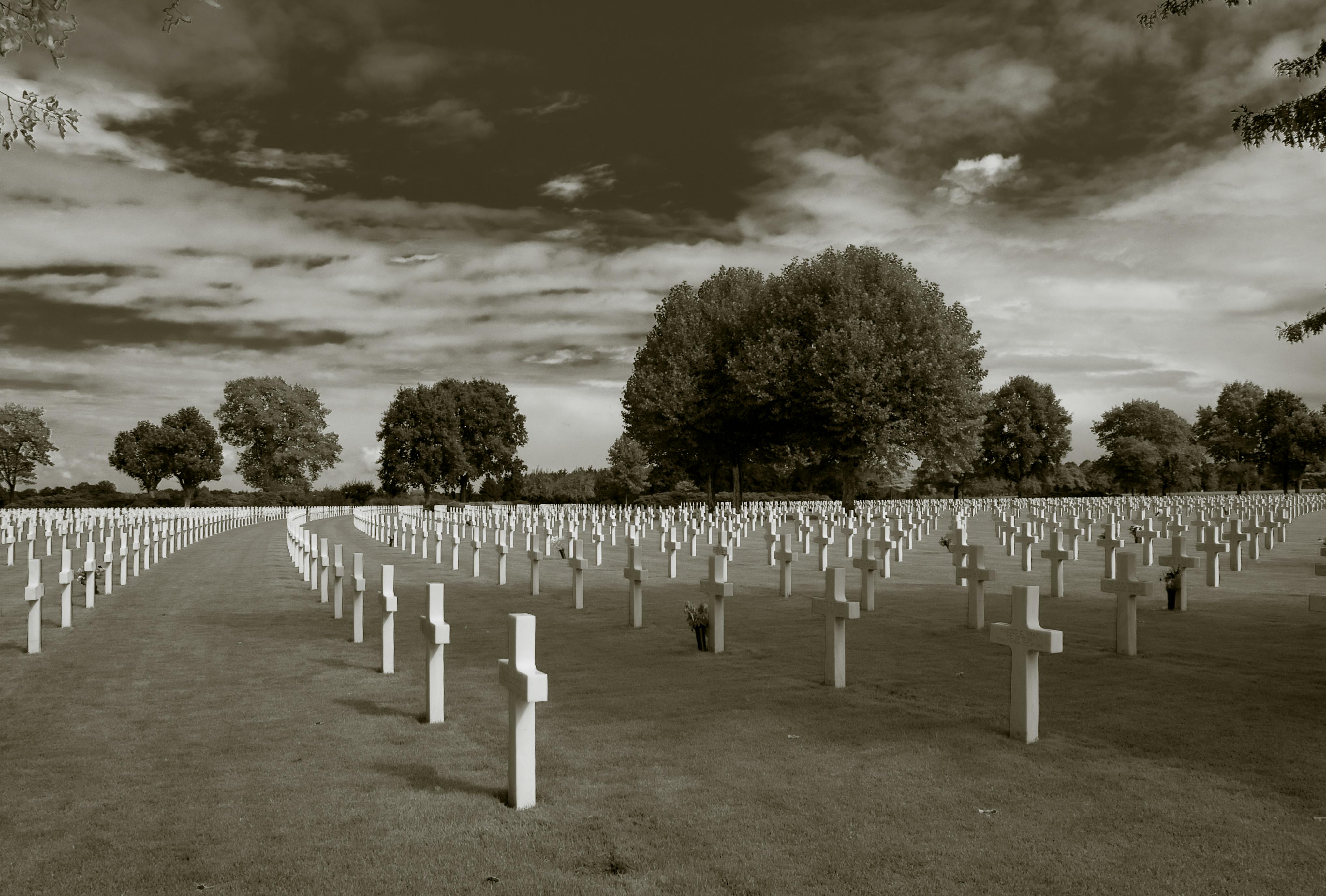 Free stock photo of cemetery, margraten, memorial