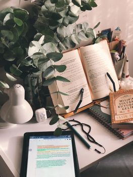 Calm, light-filled workspace featuring books, a tablet, and lush greenery.