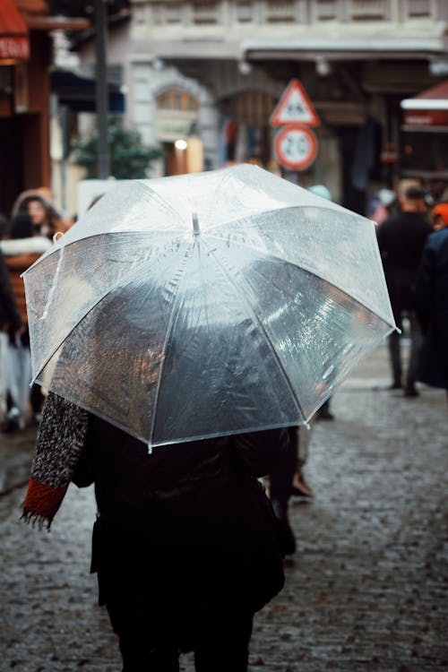 Základová fotografie zdarma na téma chůze, déšť, deštník