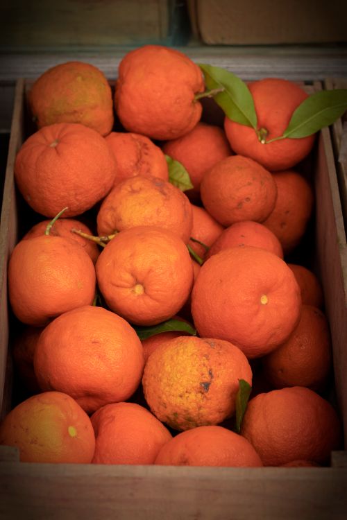 Free Oranges  Stock Photo