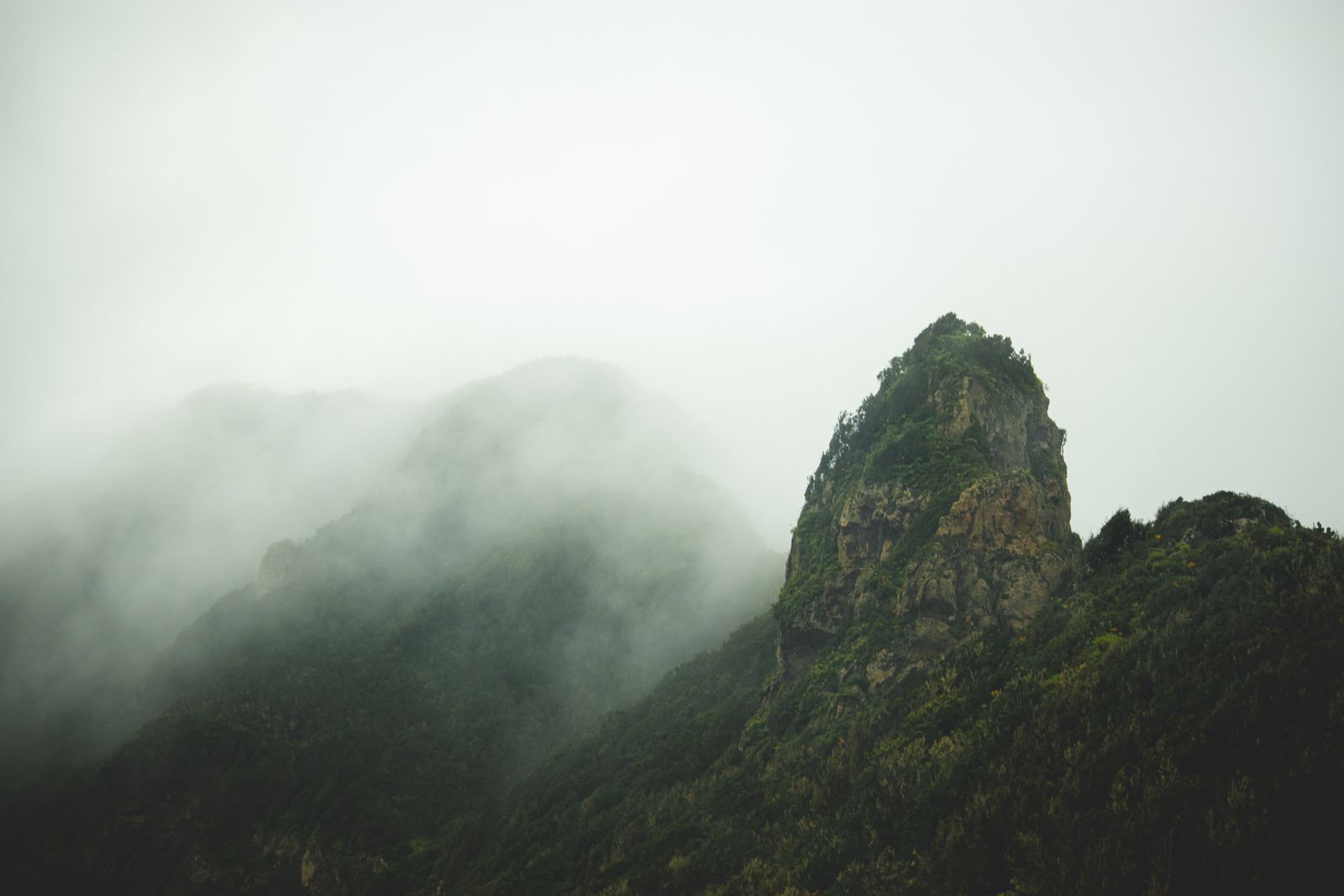 Grüne Berglandschaft auf La Palma