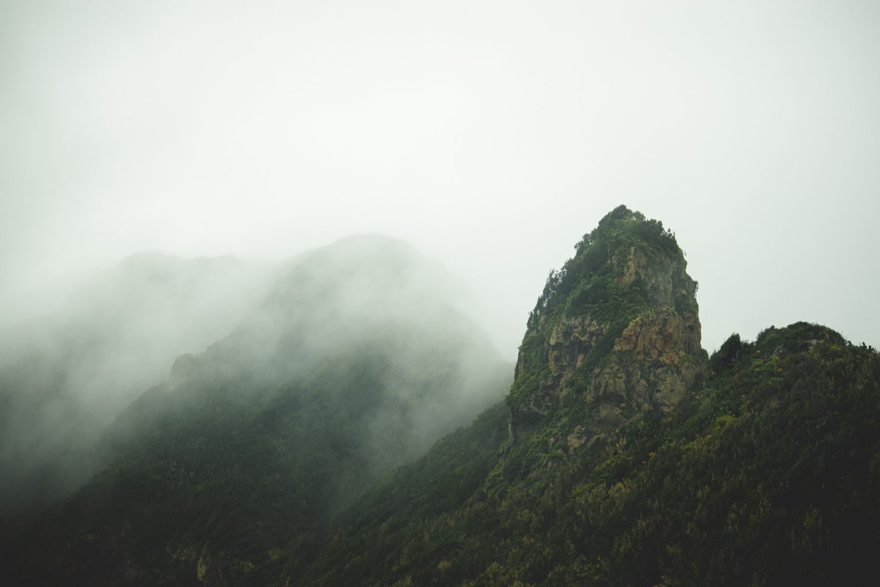 Grüne Berglandschaft auf La Palma mit Blick Richtung Atlantik