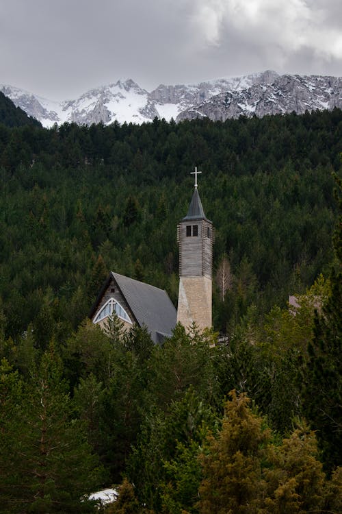 Church Tower Among the Forest Trees